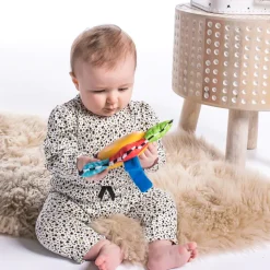 Baby Einstein Star Bright Symphony Take-Along Toy Sale