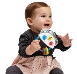 Baby Einstein Tiny Tambourine Musical Toy & Rattle Best