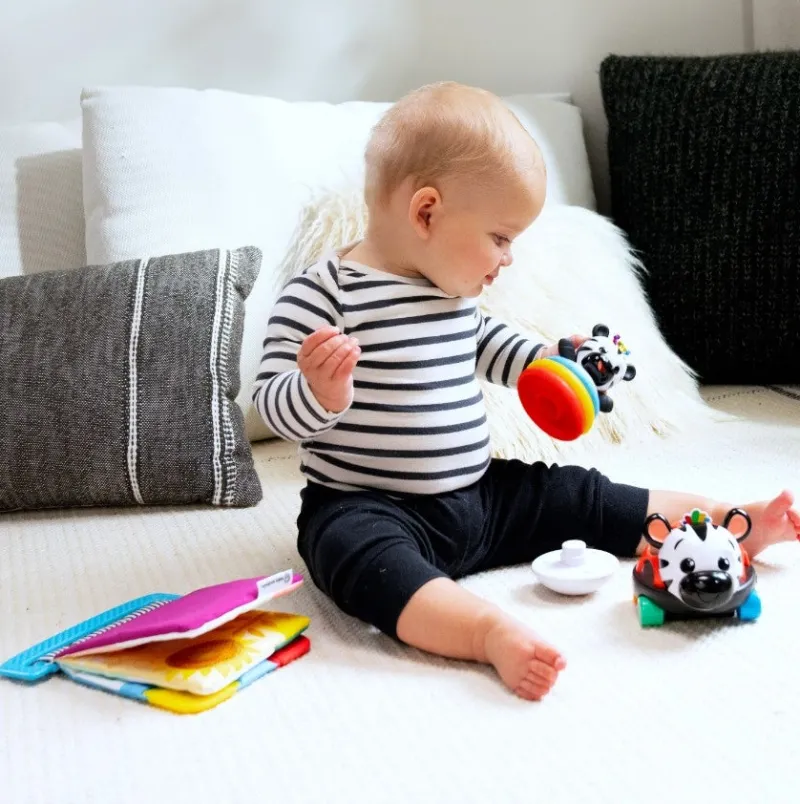 Baby Einstein Zen the Zebra 3-Piece Gift Set Best