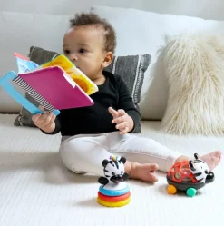 Baby Einstein Zen the Zebra 3-Piece Gift Set Best