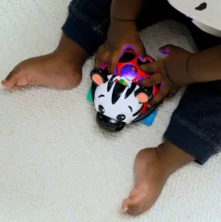 Baby Einstein Zen the Zebra 3-Piece Gift Set Best