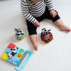 Baby Einstein Zen the Zebra 3-Piece Gift Set Best
