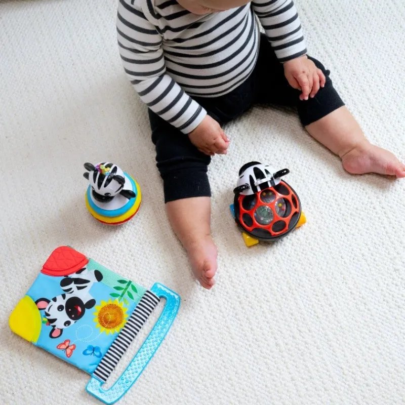 Baby Einstein Zen the Zebra 3-Piece Gift Set Best