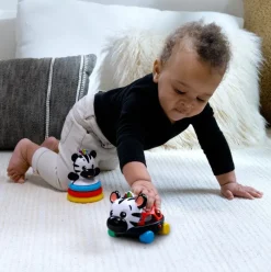 Baby Einstein Zen the Zebra 3-Piece Gift Set Best