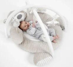 BabyZee Bear Necessities Playgym Sale