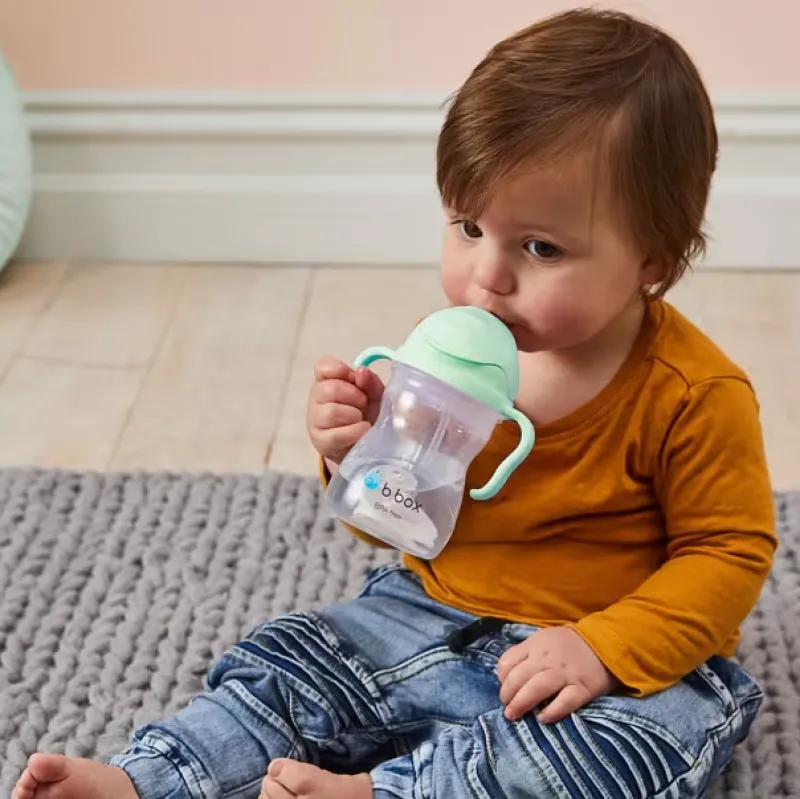 b.box bbox Sippy Cup V2 Pistachio 240ml Online