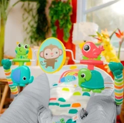 Bright Starts Playful Paradise Vibrating Bouncer Best