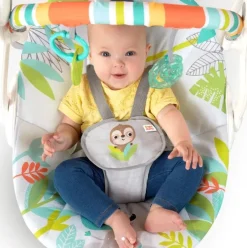 Bright Starts Rainforest Vibes Portable Swing Best