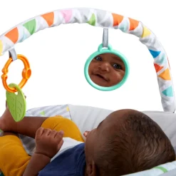 Bright Starts Safari Fun Vibrating Bouncer Online