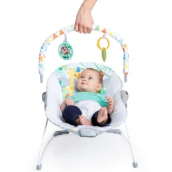 Bright Starts Safari Fun Vibrating Bouncer Online