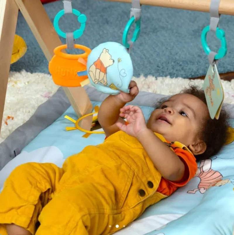 Winnie the Pooh Disney Baby Once Upon a Tummy Time Play Gym Online