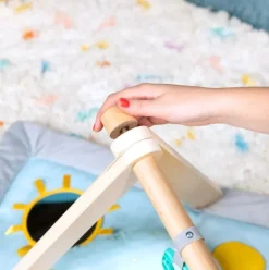 Winnie the Pooh Disney Baby Once Upon a Tummy Time Play Gym Online