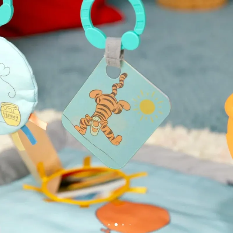 Winnie the Pooh Disney Baby Once Upon a Tummy Time Play Gym Online