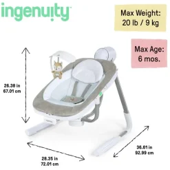 Ingenuity AnyWay Sway Dual-Direction Portable Swing Ray Outlet