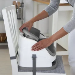 Ingenuity Baby Base 2-in-1 Seat Slate Grey Fashion