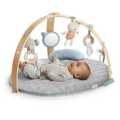 Ingenuity Cozy Spot Reversible Duvet Activity Gym Fashion