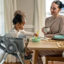 Ingenuity Proper Positioner 7-in-1 Highchair Parker Best