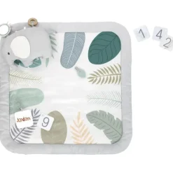 Ingenuity Sprout Spot Baby Milestone Play Mat Hot
