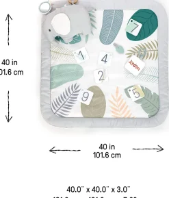 Ingenuity Sprout Spot Baby Milestone Play Mat Hot