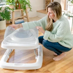 Ingenuity Step & Sprout 3-in-1 Activity Walker First Forest Discount