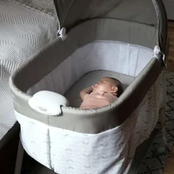 Ingenuity Ity by Snuggity Snug Soothing Bassinet Discount