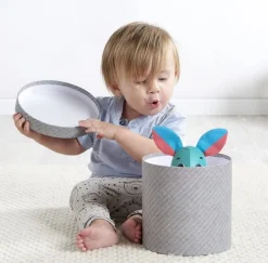 Tiny Love Wonder Buddies Thomas the Rabbit Best