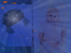 Zazu Cody the Crab Ocean Projector Online